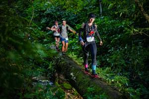 BIB: 9487
                            <button type="button" onclick="openModal(18922059)" class="btn btn-primary btn-sm float-right btn-popup" data-toggle="modal" data-target=".modal-high-quality">
                        <i class="fas fa-shopping-cart"></i> Add to Cart
                    </button>
                                            <button type="button" onclick="isThisMe(18922059, true)" class="btn btn-success btn-sm float-right btn-popup btn-isme hidden" data-toggle="tooltip" data-placement="bottom" title="นี่คือรูปของคุณใช่ไหม คลิกที่นี่เพื่อเอาเข้าอัลบั้ม">
                        <i class="fas fa-plus"></i> Add to album
                    </button>
                    <button type="button" onclick="isThisMe(18922059, false)" class="btn btn-warning btn-sm float-right btn-popup btn-isnotme hidden">
                        <i class="fas fa-ban"></i> Remove from album
                    </button>